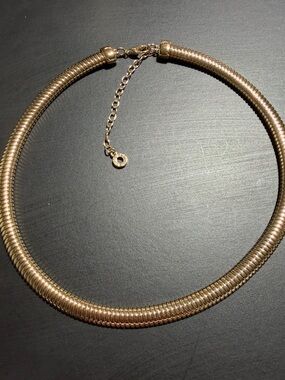 Anne Klein Gold-Tone Omega Coil Collar Necklace  17-20"  (4)